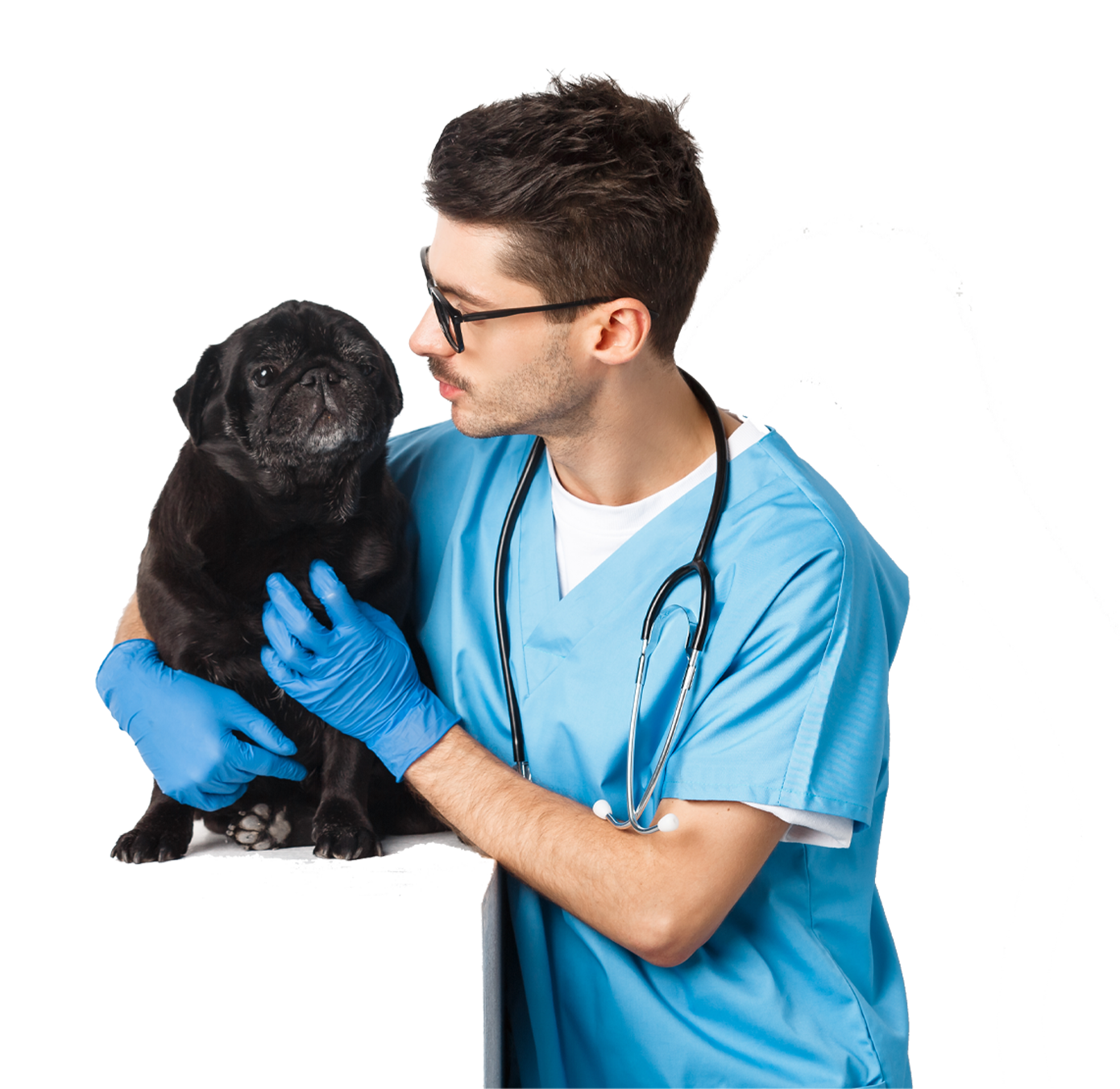 https://petguardiansvet.com/wp-content/uploads/2023/11/handsome-young-veterinarian-doctor.png
